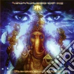 Regardless Of Fear - Pleasures And Fear (ltd To 1000) cd