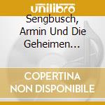 Sengbusch, Armin Und Die Geheimen Sinfoniker - Ich Kann F??Hlen, Dass Du Einsam Bist cd