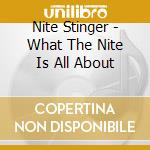 Nite Stinger - What The Nite Is All About