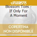 Blossom Toes - If Only For A Moment cd
