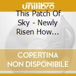 This Patch Of Sky - Newly Risen How Brightly You Shine cd