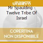 Mr Spaulding - Twelve Tribe Of Israel cd