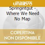 Springintgut - Where We Need No Map cd