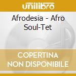 Afrodesia - Afro Soul-Tet cd