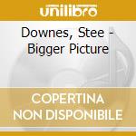 Downes, Stee - Bigger Picture cd