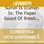 Sumer Is Icumen In. The Pagan Sound Of British And Irish Folk 1966-75 / Various (3 Cd) cd