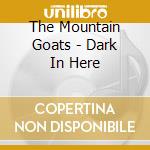 The Mountain Goats - Dark In Here cd