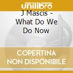 J Mascis - What Do We Do Now cd