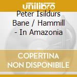 Peter Isildurs Bane / Hammill - In Amazonia cd musicale