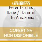 Peter Isildurs Bane / Hammill - In Amazonia cd