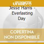 Jesse Harris - Everlasting Day cd