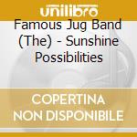 Famous Jug Band (The) - Sunshine Possibilities cd
