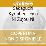 Sakaguchi Kyouhei - Eien Ni Zujou Ni cd