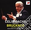 Anton Bruckner - Symphony No.6 cd