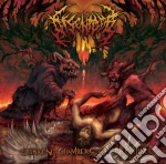 Disentomb - Sunken Chambers Of Nephilim cd