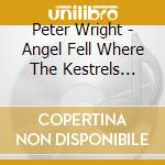 Peter Wright - Angel Fell Where The Kestrels Hover cd