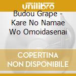 Budou Grape - Kare No Namae Wo Omoidasenai cd