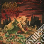 Atoll - The Gathering Swarm cd