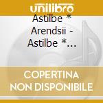 Astilbe * Arendsii - Astilbe * Arendsii Works Collection 4 -Birth- cd