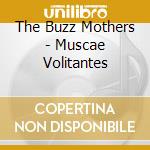 The Buzz Mothers - Muscae Volitantes cd musicale di The Buzz Mothers