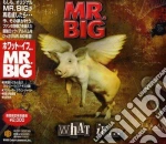 Mr. Big - What If cd