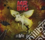 Mr. Big - What If... cd