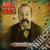 Mr.Big - The Stories We Could Tell cd