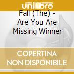 Fall (The) - Are You Are Missing Winner cd