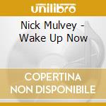 Nick Mulvey - Wake Up Now cd musicale di Nick Mulvey