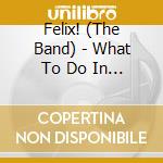 Felix! (The Band) - What To Do In Case Of Fire? cd