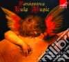 Renaissance Lute Music - Musica Rinascimentale Per Liuto - Vavilov Vladimir Lt/sandor Kallos, Liuto cd