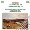 Johannes Brahms - Trio Per Clarinetto, Violoncello E Pianoforte Op.114 cd