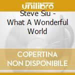 Steve Siu - What A Wonderful World cd