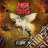 Mr. Big - What If (Cd+Dvd) cd