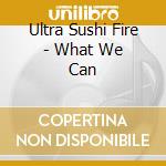 Ultra Sushi Fire - What We Can cd