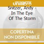 Snitzer, Andy - In The Eye Of The Storm cd