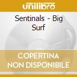 Sentinals - Big Surf cd
