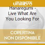 Hanaregumi - Live What Are You Looking For cd