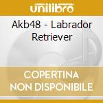 Akb48 - Labrador Retriever cd musicale