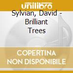 Sylvian, David - Brilliant Trees cd