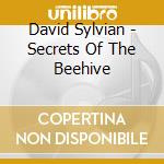 David Sylvian - Secrets Of The Beehive