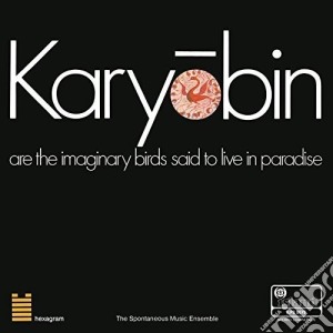 Spontaneous Music Ensemble - Karyobin: Limited cd musicale di Spontaneous Music Ensemble