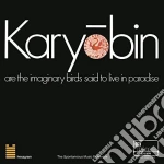 Spontaneous Music Ensemble - Karyobin: Limited cd