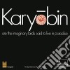 Spontaneous Music Ensemble - Karyobin: Limited cd
