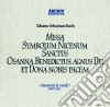 Johann Sebastian Bach - Mass In B Minor (2 Cd) cd