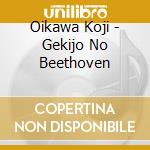 Oikawa Koji - Gekijo No Beethoven cd