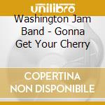 Washington Jam Band - Gonna Get Your Cherry cd