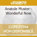 Anatole Muster - Wonderful Now cd