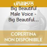 Big Beautiful Male Voice - Big Beautiful Male Voice cd