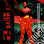2pac - Strictly 4 My Niggaz cd